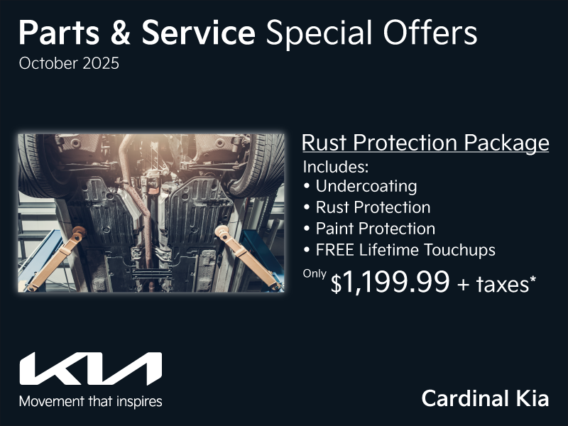 Get all-around protection for your vehicle!