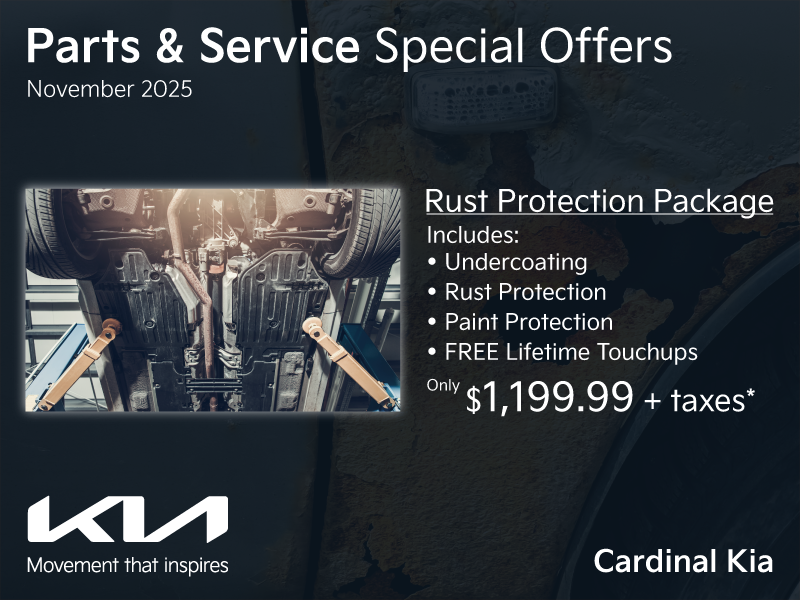 Get all-around protection for your vehicle!