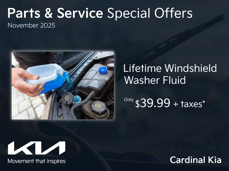 It's the time of the year to keep your windshield washer fluid topped-up!
