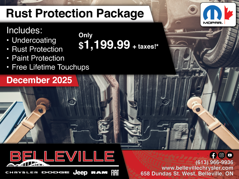 Get all-around protection for your vehicle!