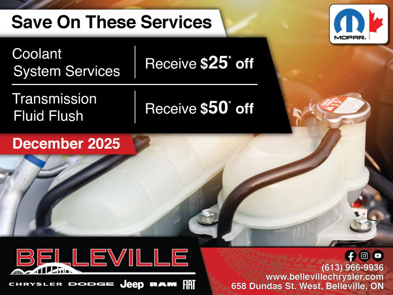 Save on these Services!