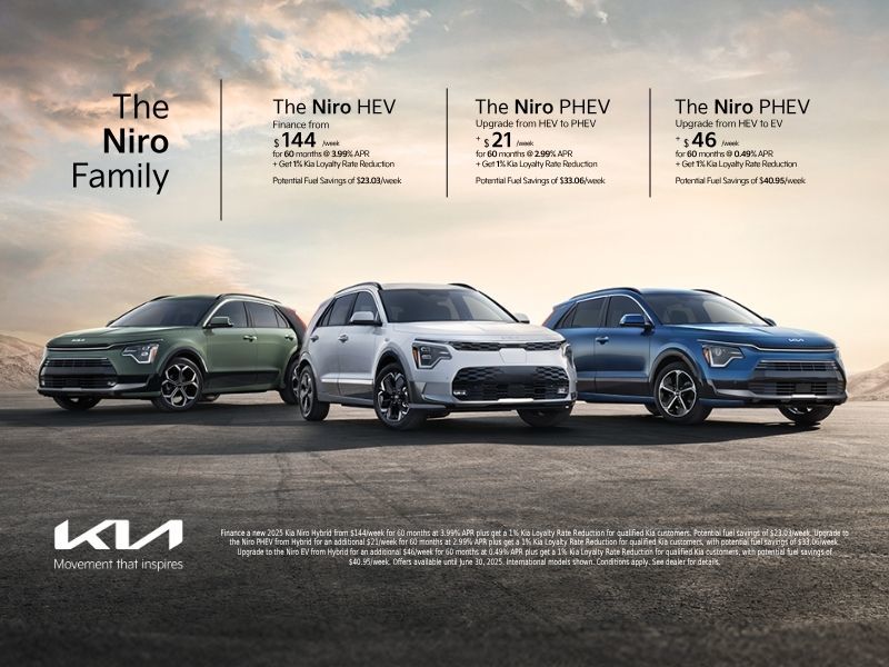 Meet the Niro Family