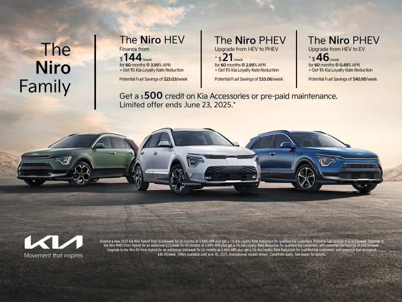 Meet the Niro Family