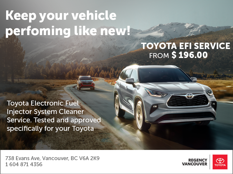 EFI CLEANER SERVICE