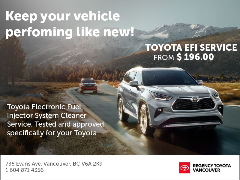 EFI CLEANER SERVICE