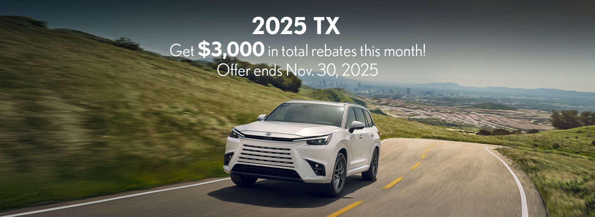 TX website rebate banner front (Copy)