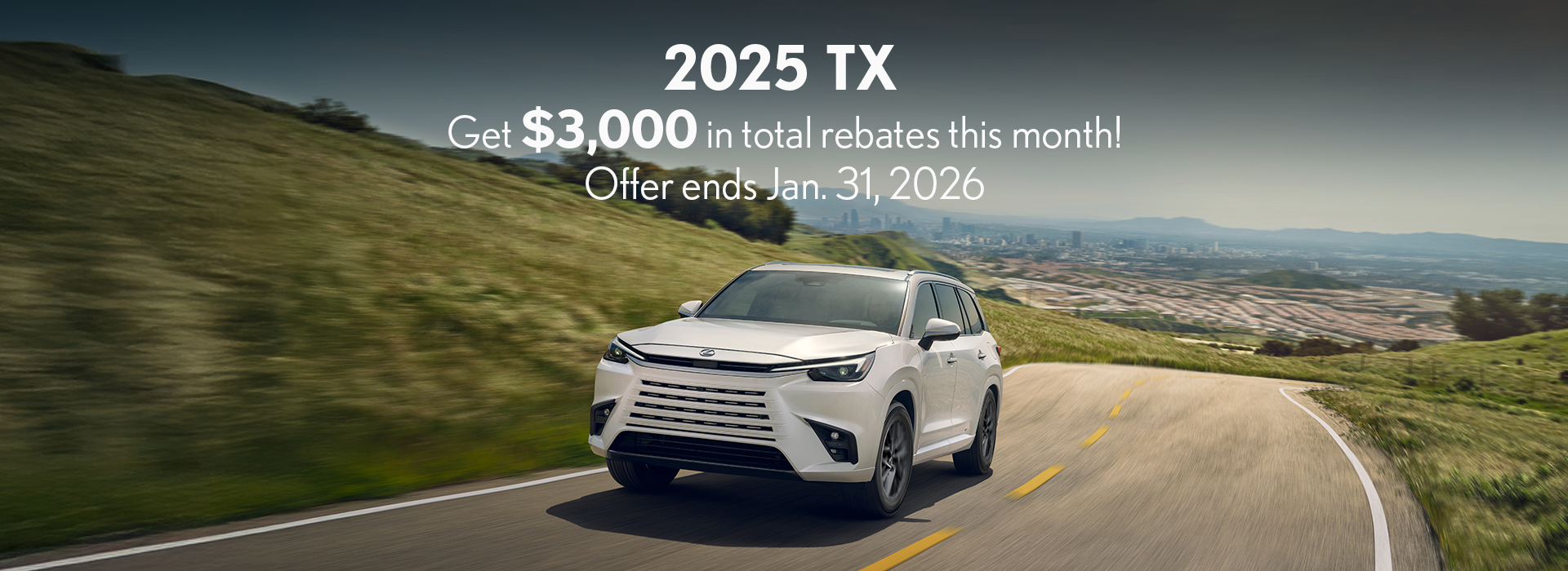 TX website rebate banner front (Copy)