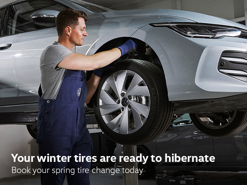 VW Winter tire (SI - NAT)