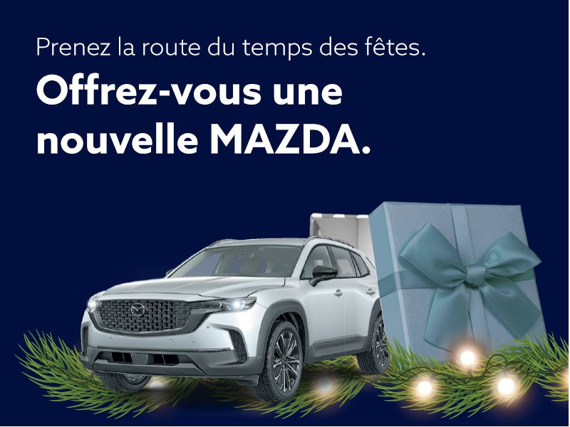 Prenez la route du temps des fêtes.