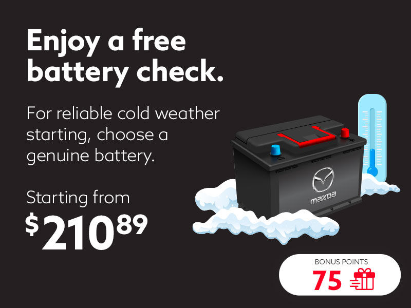 Enjoy a free battery check