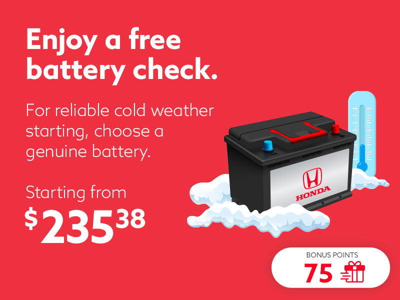 Enjoy a free battery check
