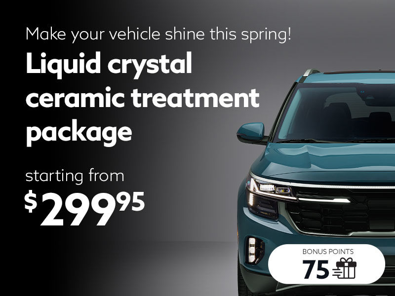 Make your vehicle shine this spring!