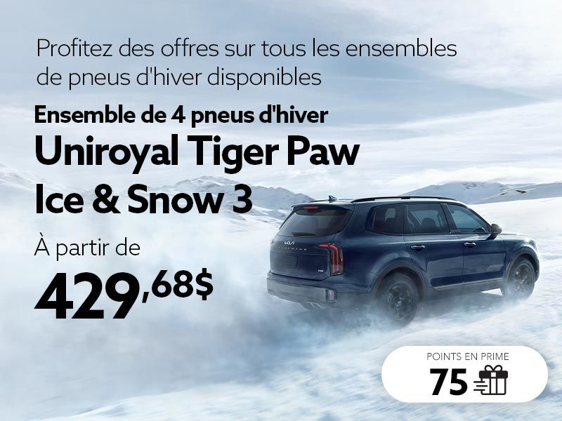 Profitez des offres sur tous les ensembles de pneus d'hiver disponibles