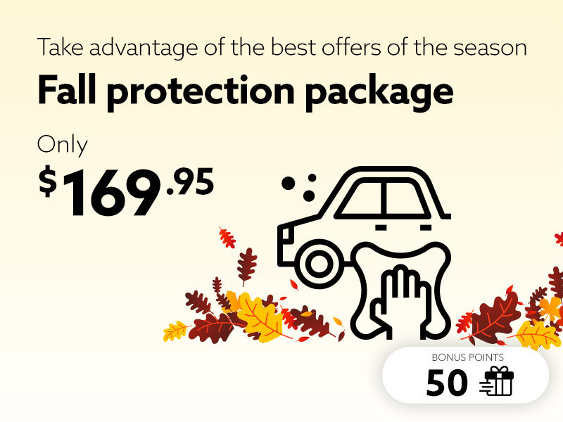 Take advantage of the best offers of the season