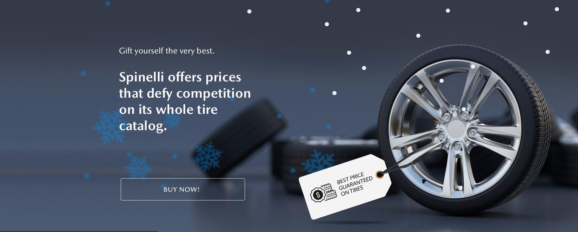 Treat yourself to our best price guaranteed on tires