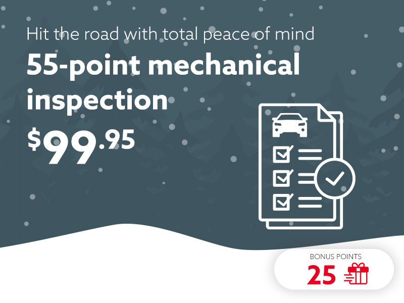 55-point mechanical inspection