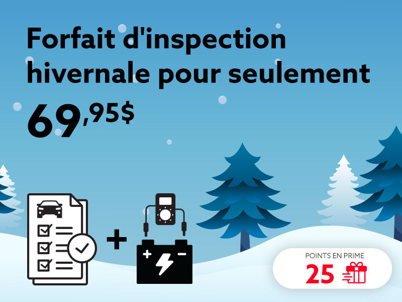 Choisissez le forfait d'inspection hivernale