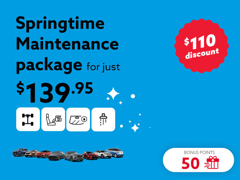 Choose the Springtime Maintenance package