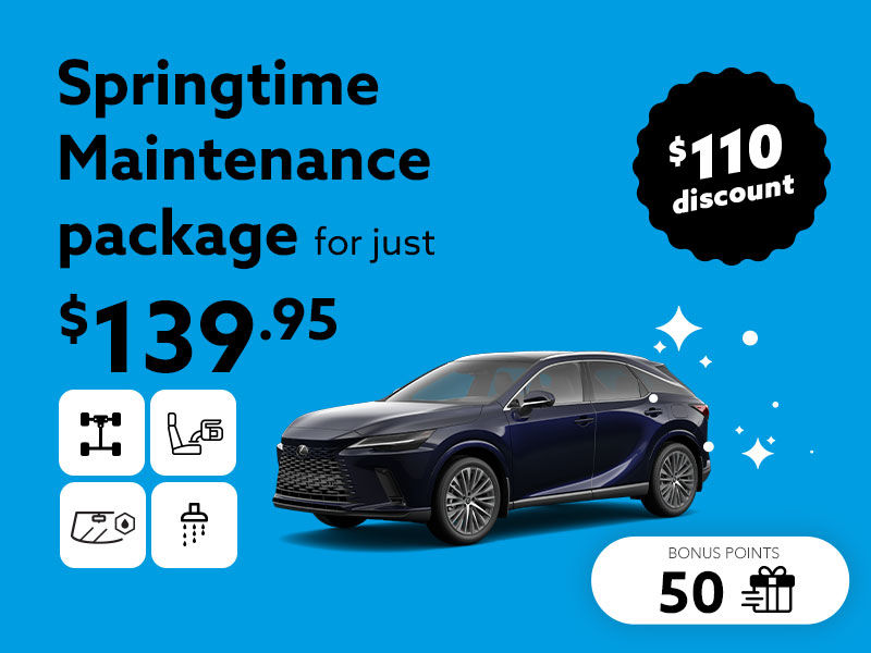 Choose the Springtime Maintenance package