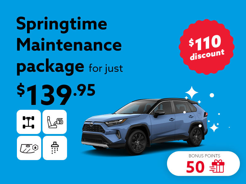 Choose the Springtime Maintenance package