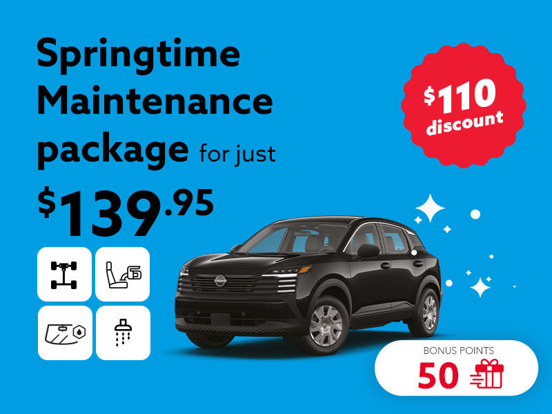 Choose the Springtime Maintenance package