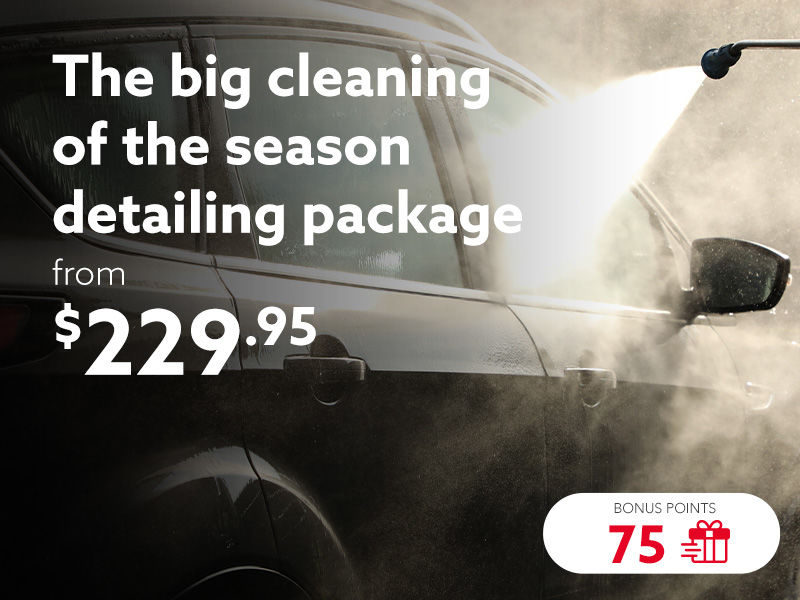 Take advantage of our Big cleaning of the season detailing package