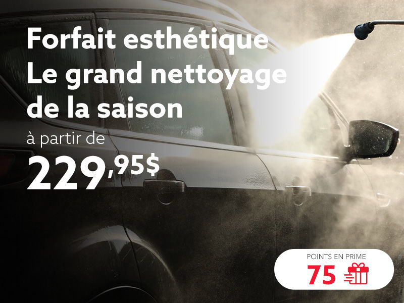 Profitez de notre forfait esthétique Grand nettoyage de la saison