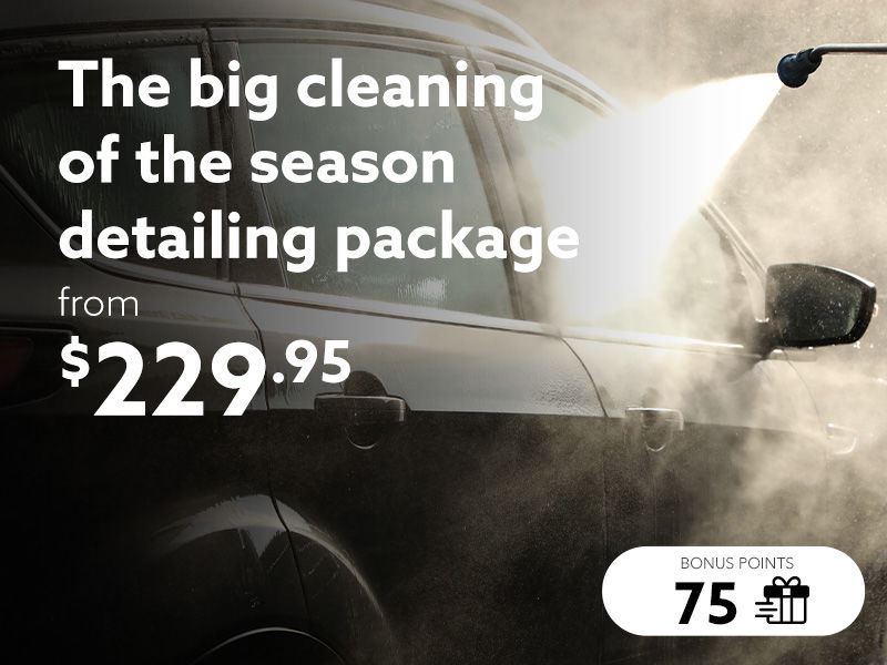 Take advantage of our Big cleaning of the season detailing package