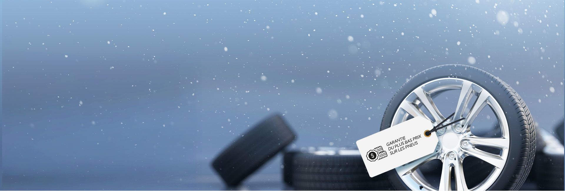 Profitez de notre garantie du plus bas prix sur les pneus
