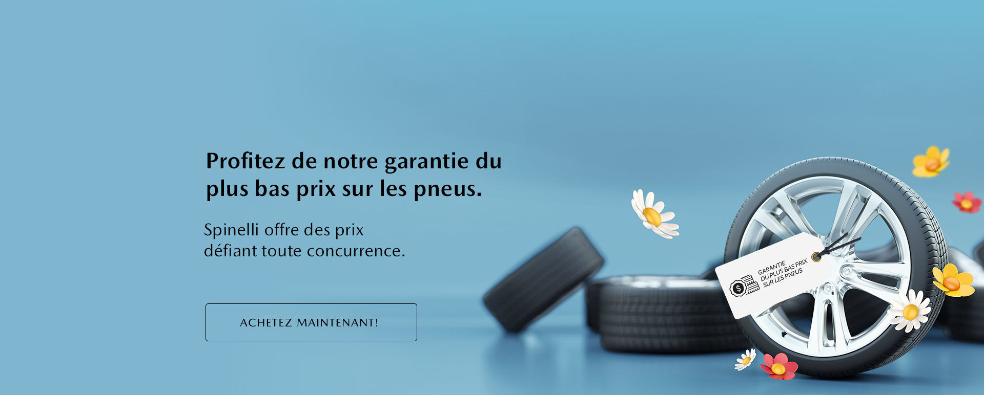 Profitez de notre garantie du plus bas prix sur les pneus