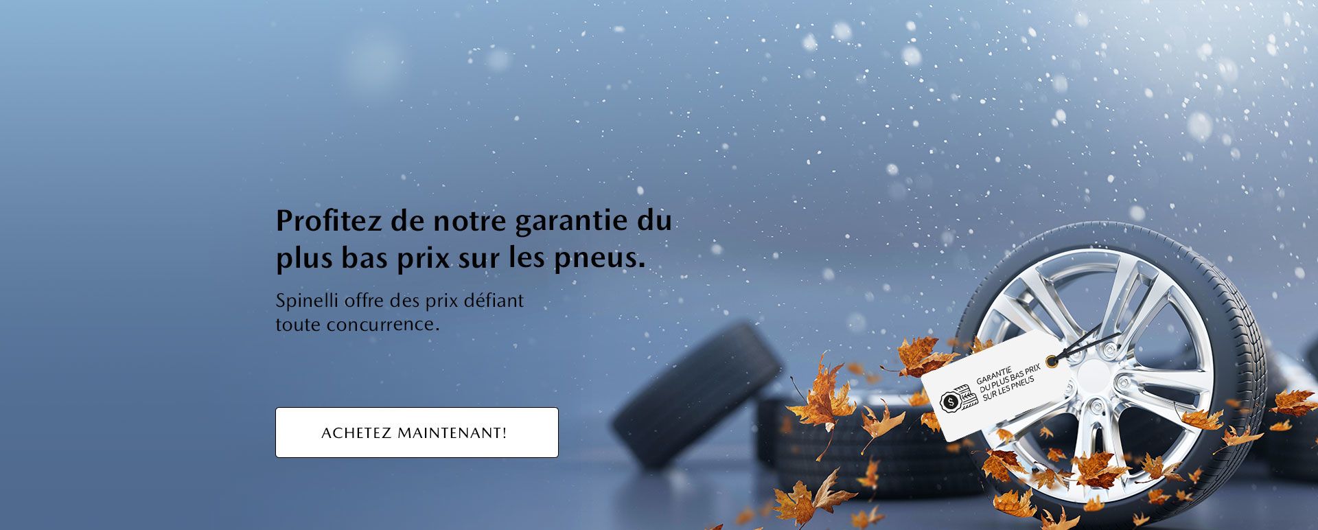 Profitez de notre garantie du plus bas prix sur les pneus