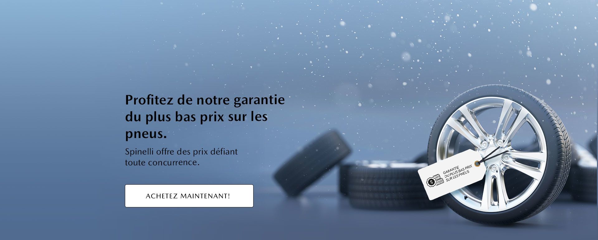 Profitez de notre garantie du plus bas prix sur les pneus