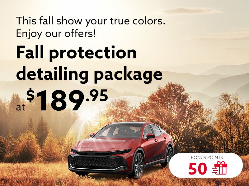 This fall show your true colors. Enjoy our offers!