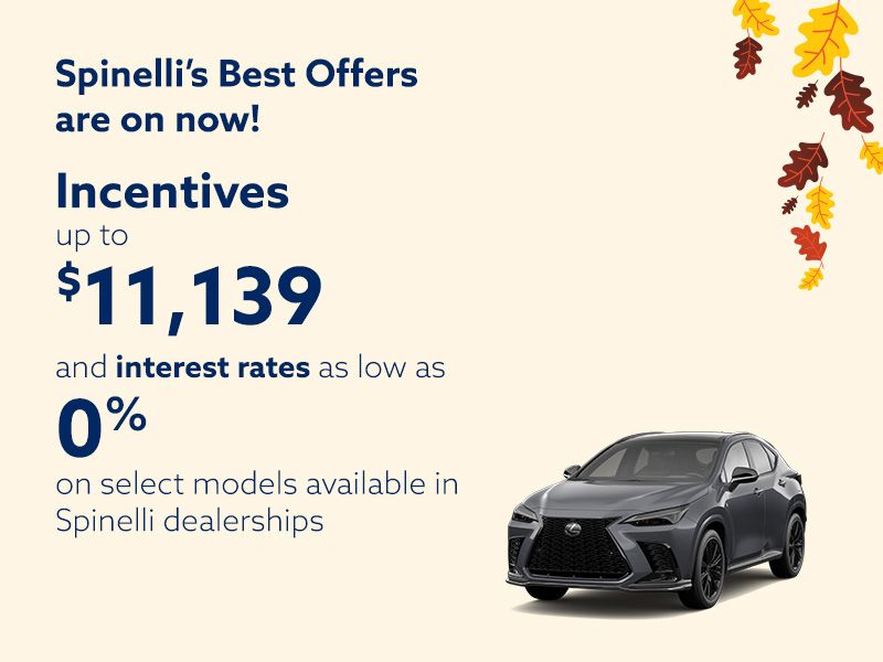 Spinelli’s Best Offers is on now!