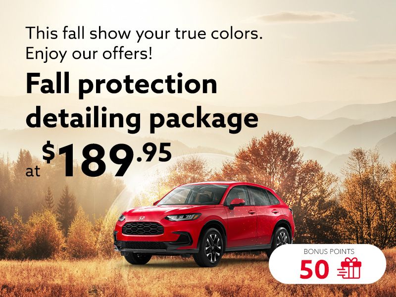 This fall show your true colors. Enjoy our offers!