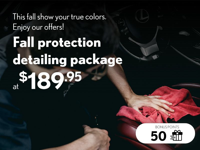 This fall show your true colors. Enjoy our offers!