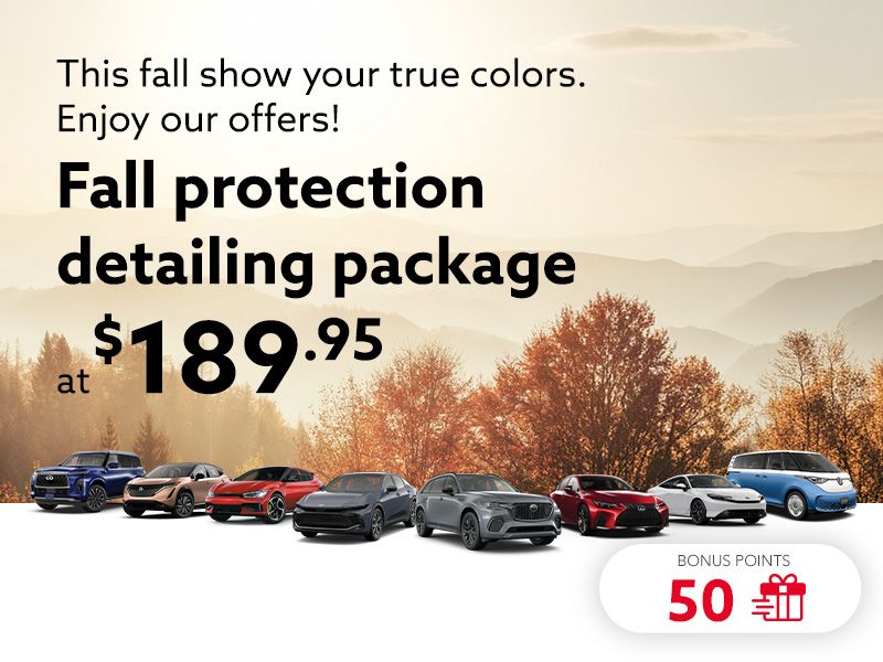 This fall show your true colors. Enjoy our offers!
