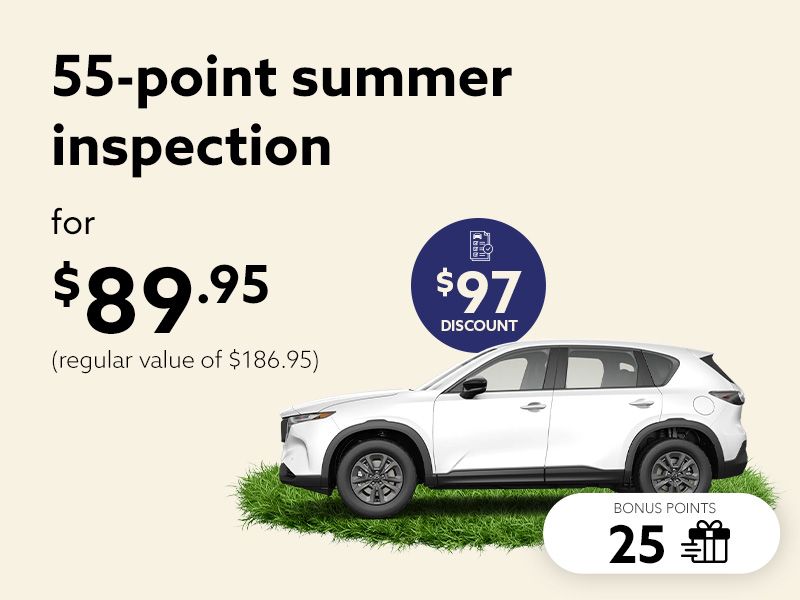 Summer is yours. Hit the road with total peace of mind, with our 55-point inspection.