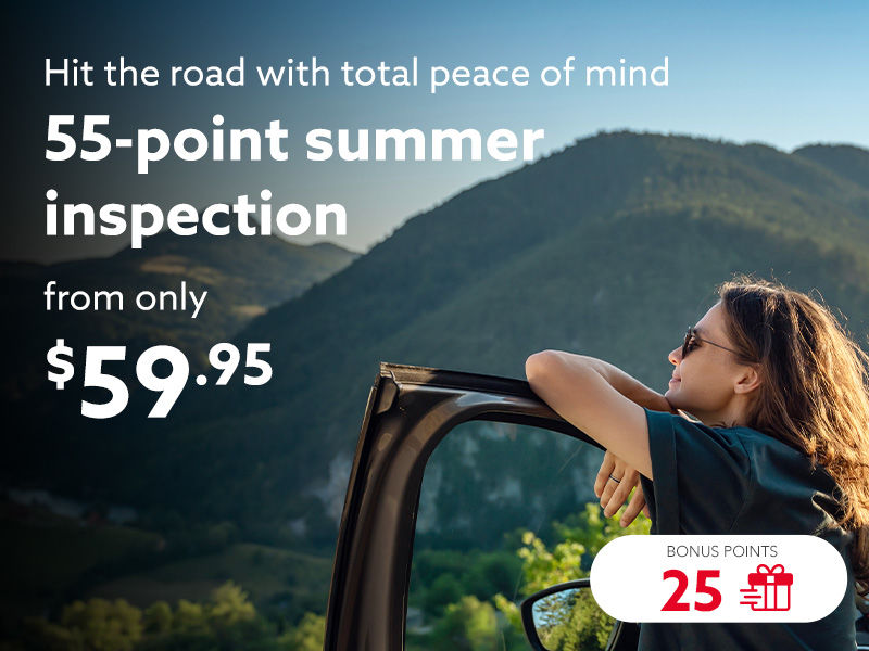 55-point summer inspection for only $59.95