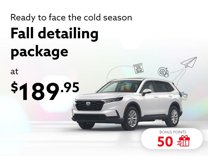 Take advantage of our Fall detailing package