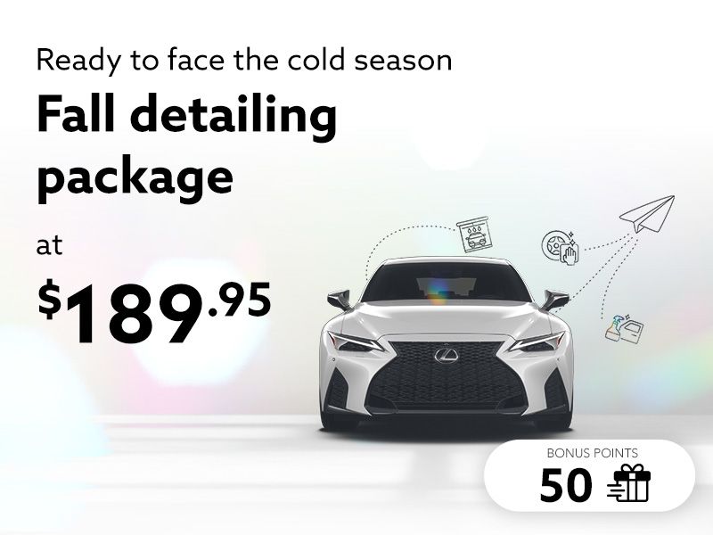 Take advantage of our Fall detailing package