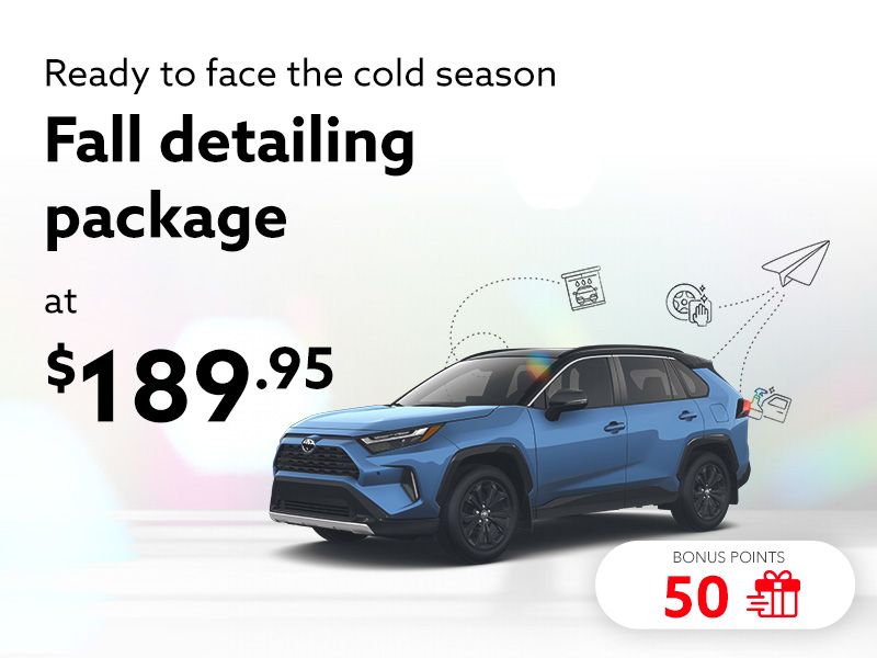 Take advantage of our Fall cleaning detailing package