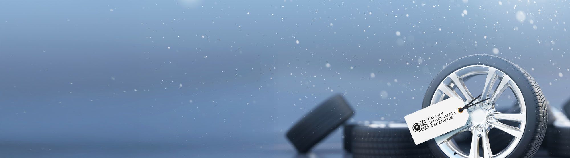 Profitez de notre garantie du plus bas prix sur les pneus