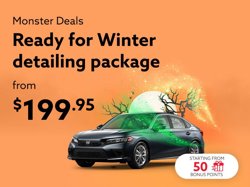 Take advantage of our Ready for Winter detailing package