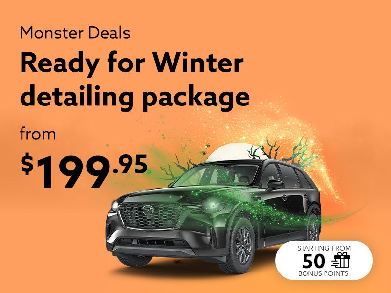 Take advantage of our Ready for Winter detailing package