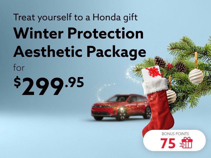 Take advantage of the Winter Protection Aesthetic Package