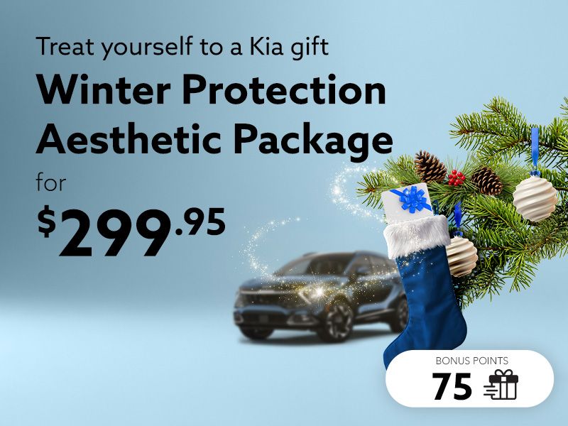 Take advantage of the Winter Protection Aesthetic Package