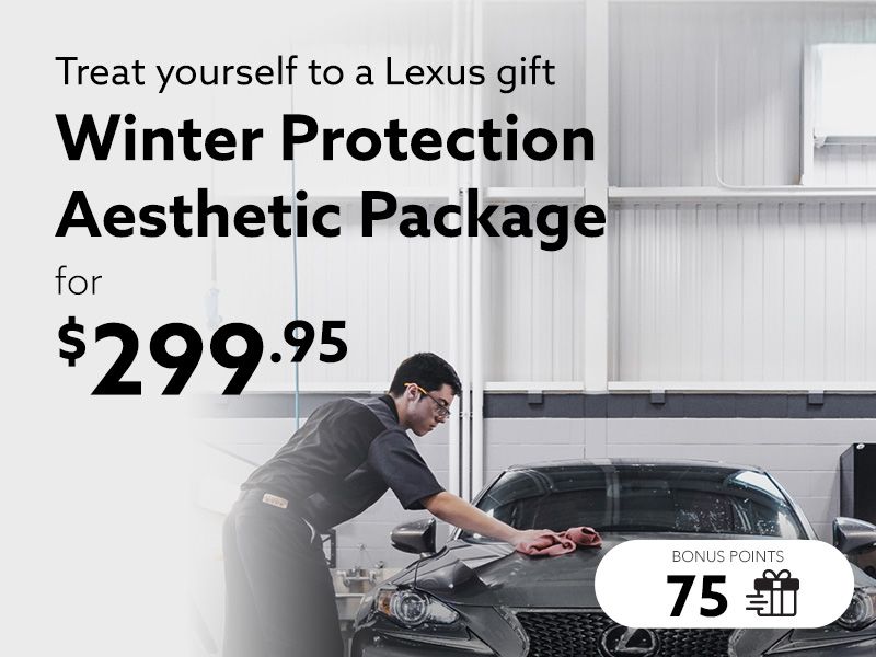 Take advantage of the Winter Protection Aesthetic Package