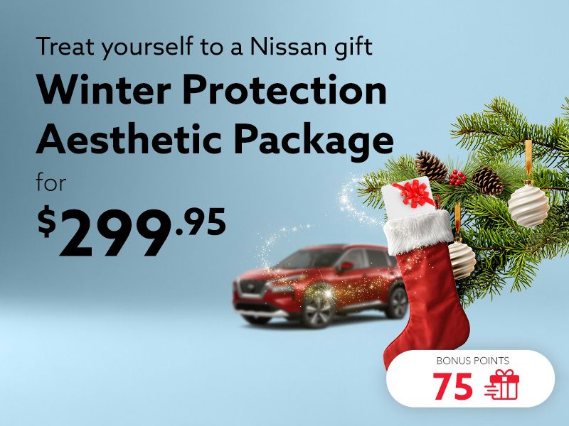 Take advantage of the Winter Protection Aesthetic Package