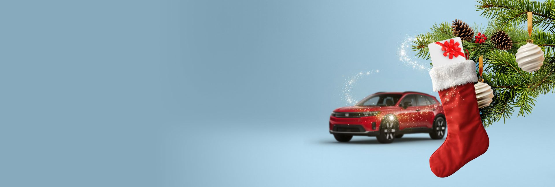 Winter Protection package at $189.95